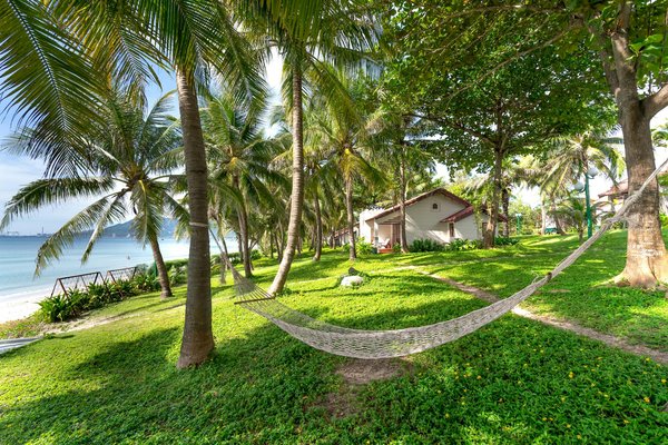 Discover the perfect stargazing journey amidst the enchanting scottish highlands